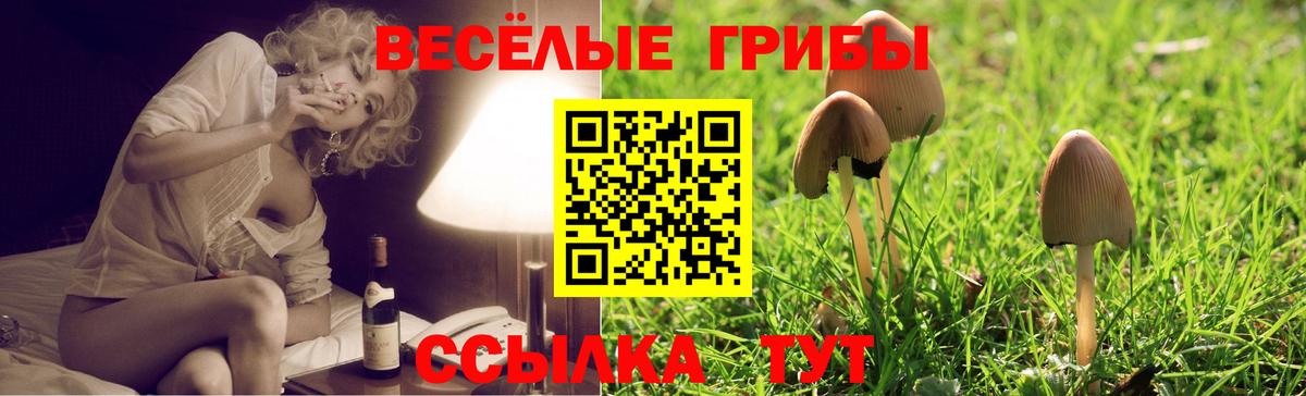 Галлюциногенные грибы мухоморы Кандалакша